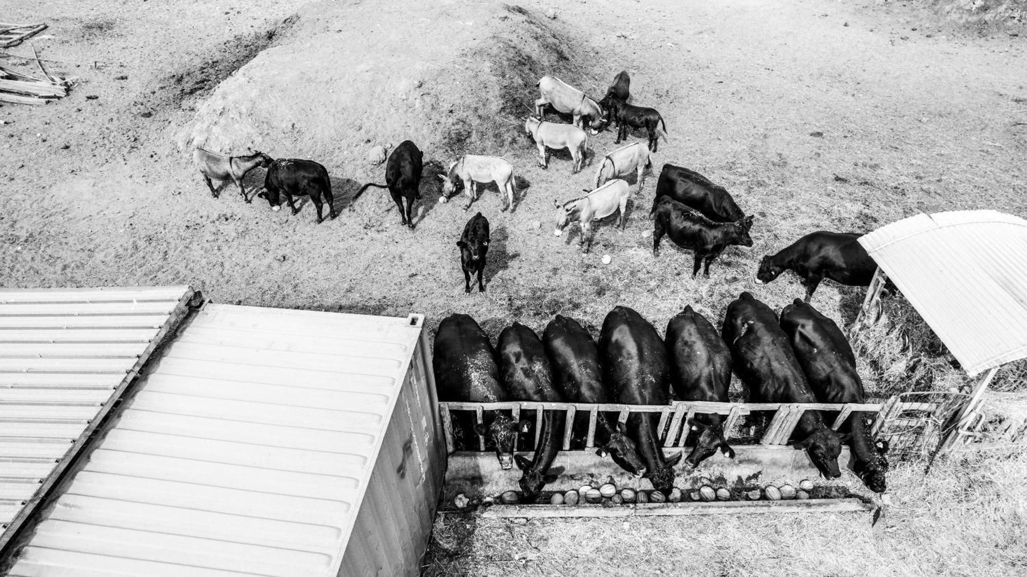 טרקיניה Agriturismo Podere Giulio מראה חיצוני תמונה