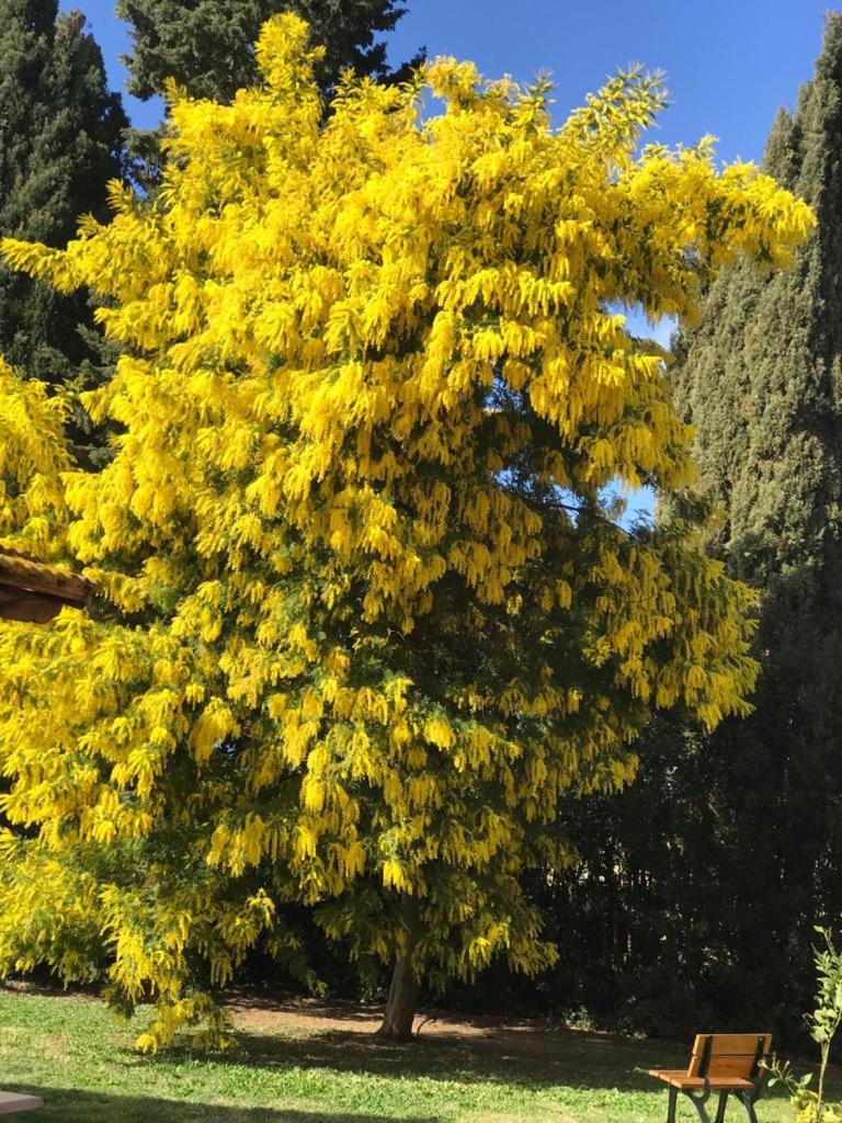 הוילה טרקיניה Agriturismo Podere Giulio מראה חיצוני תמונה